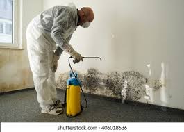 Best Mold Damage Restoration  in Edmundson, MO